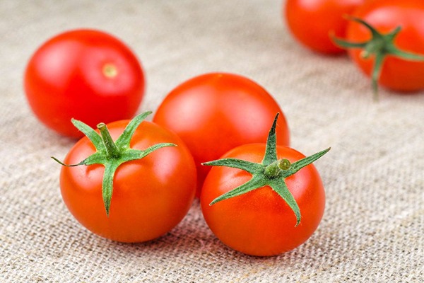 خرید گوجه فرنگی طارم + قیمت فروش استثنایی