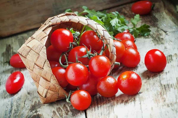قیمت خرید گوجه فرنگی یارا با فروش عمده