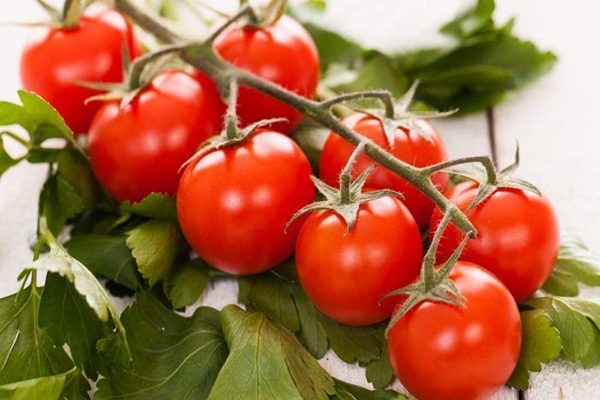 قیمت خرید گوجه فرنگی یونیژن عمده به صرفه و ارزان