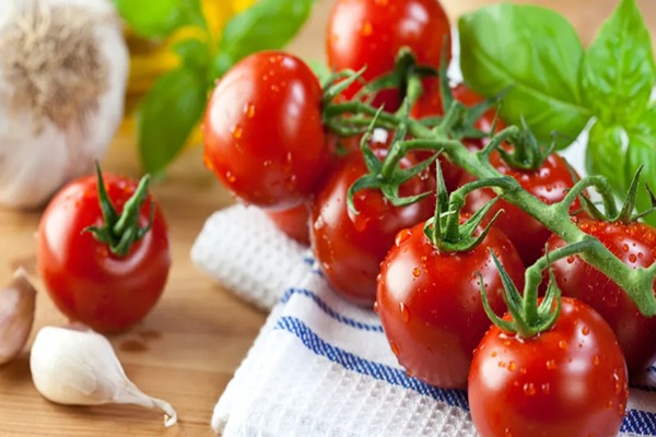 قیمت خرید گوجه فرنگی هیبرید عمده به صرفه و ارزان