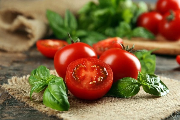 قیمت خرید گوجه فرنگی جنوب عمده به صرفه و ارزان