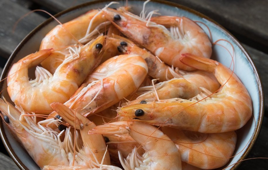 میگو یخ زده انتخابی مناسب فریزر خانگی