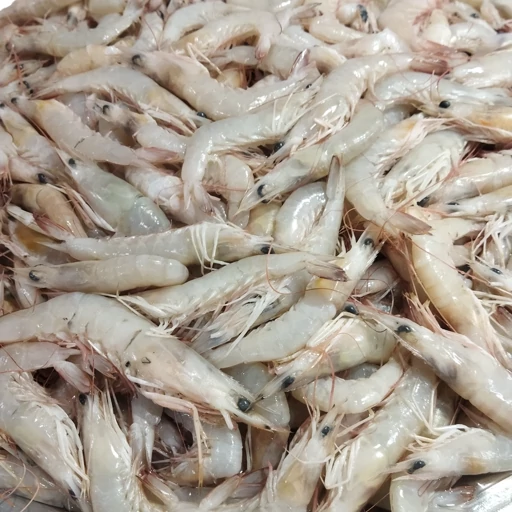 تصویر 2 از میگو یخ زده تازه + سرشار از پروتئین و سالم