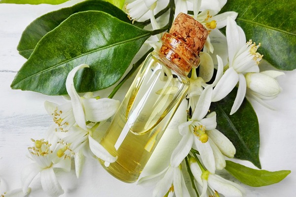 خرید و فروش عرق رازیانه غلیظ با شرایط فوق العاده