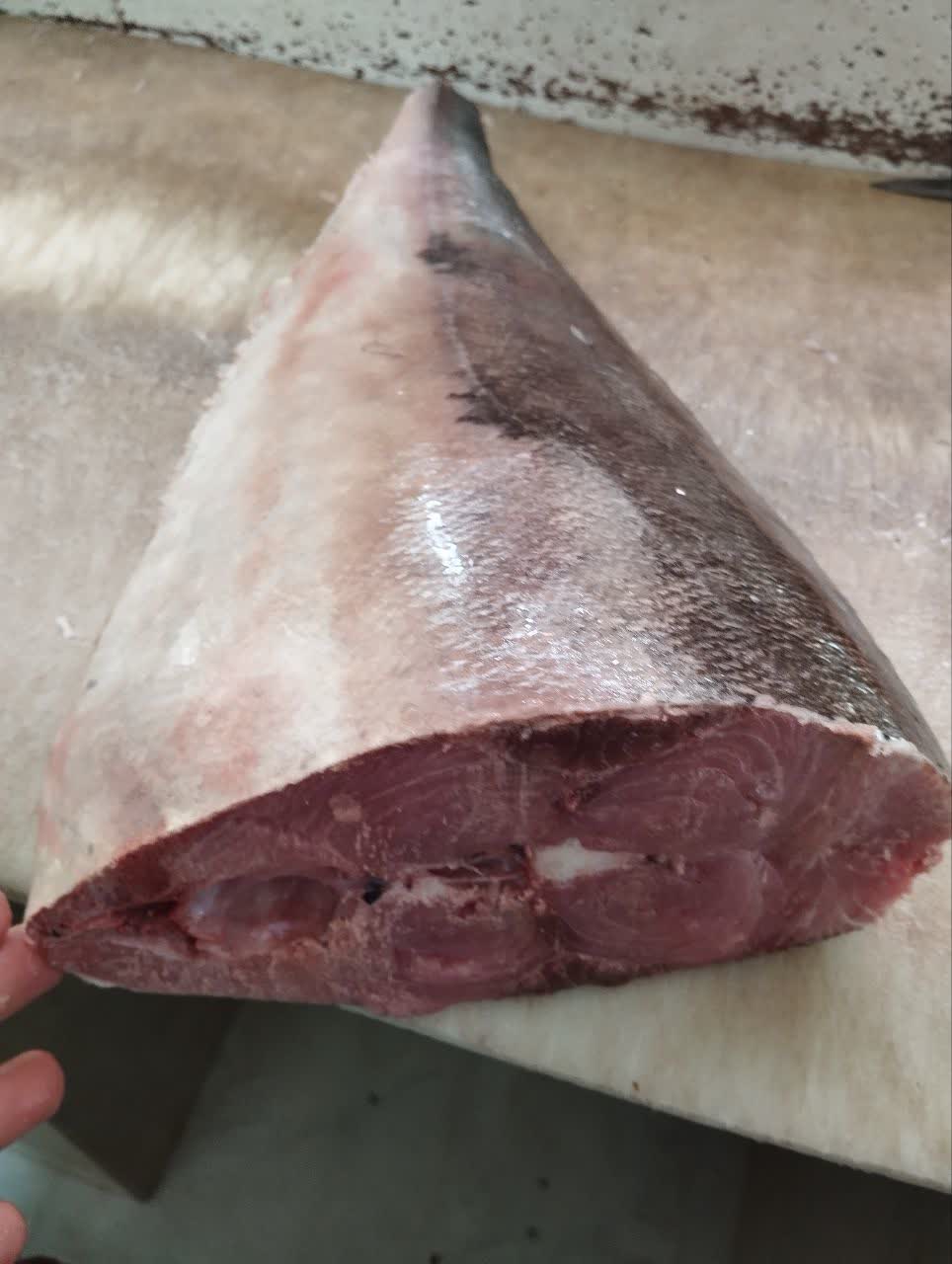 ماهی حلوا طلایی صادراتی با قیمت مناسب