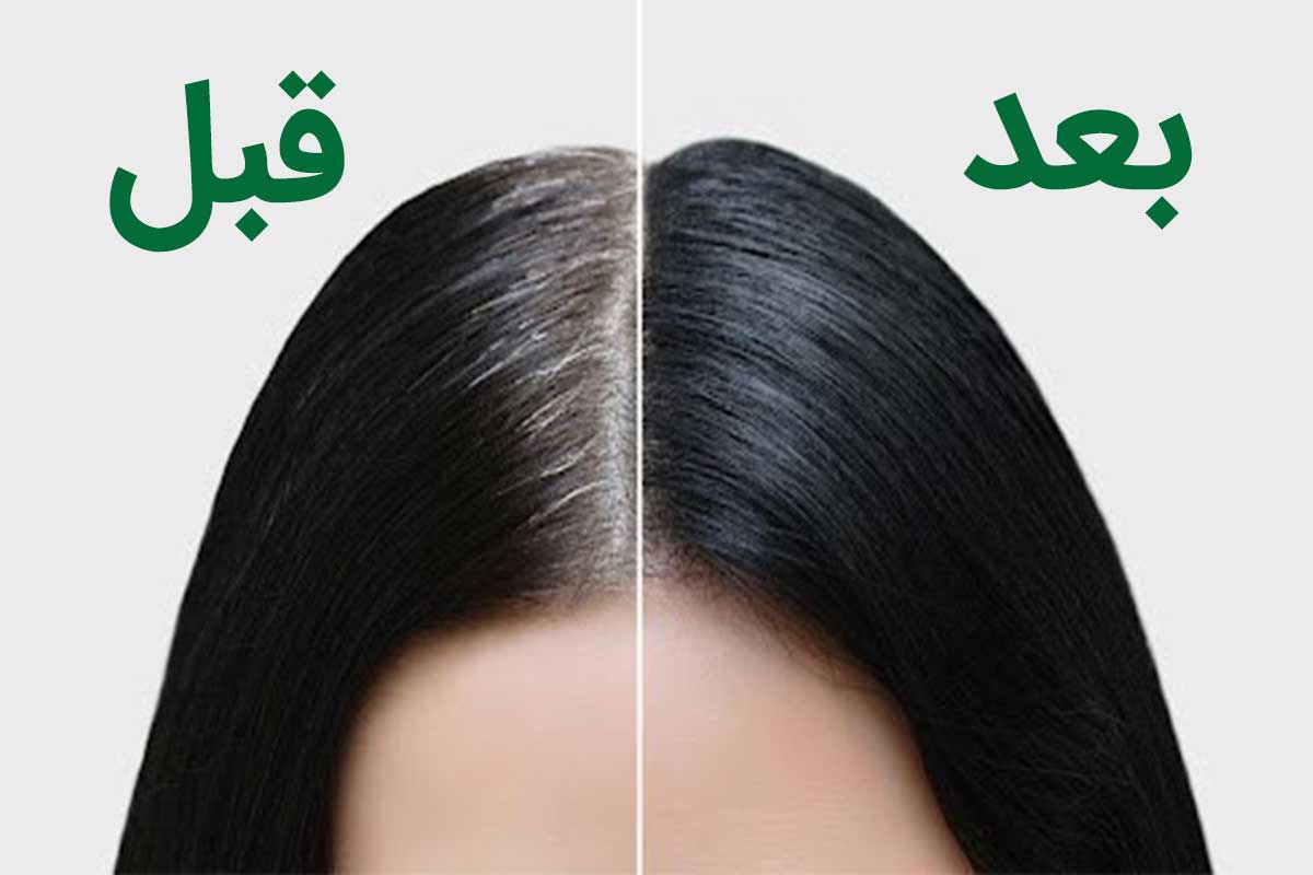 خرید شامپو حنا مشکی + قیمت فروش استثنایی