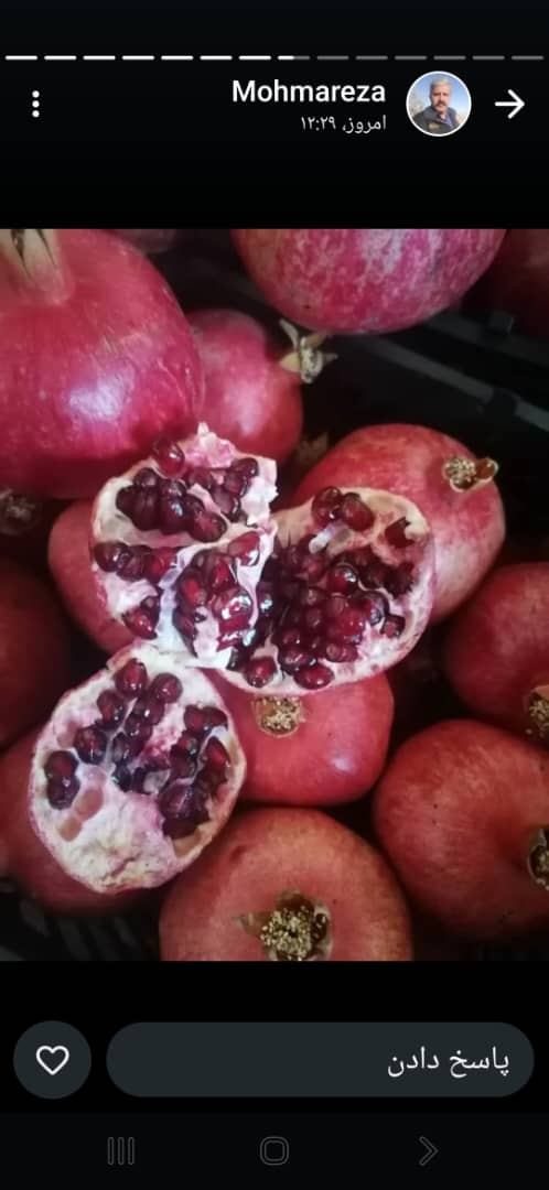 انار شهرضا ارگانیک اطلاعات تغذیه ای