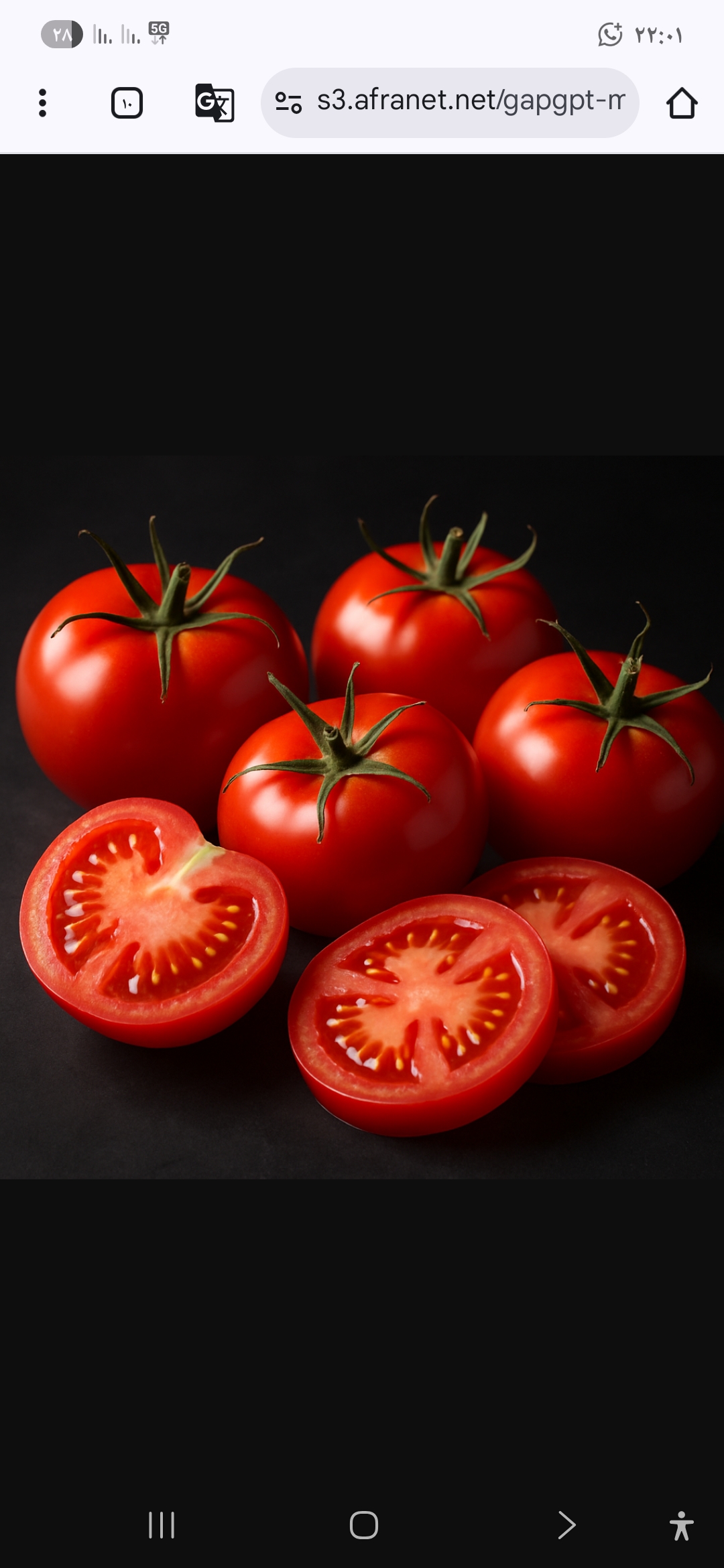 گوجه فرنگی تازه برای صادرات و مصرف داخلی + سفارش عمده و خرده