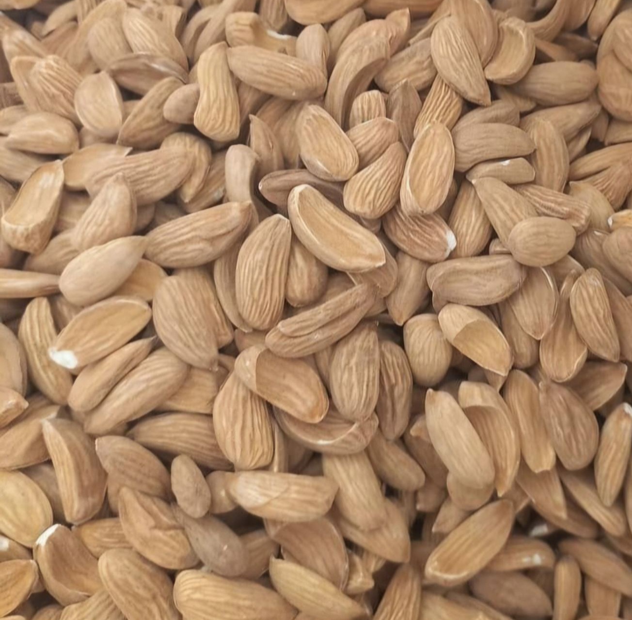 خرید بادام سنگی با قیمت استثنایی