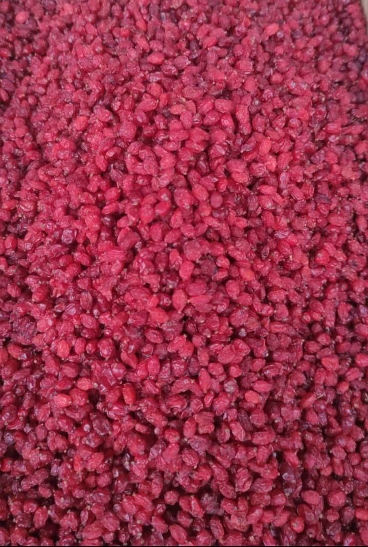 زرشک پفکی درجه یک + فروش عمده