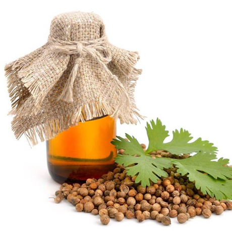 خریدوقیمت فروش اسانس گشنیز+فله+خواص