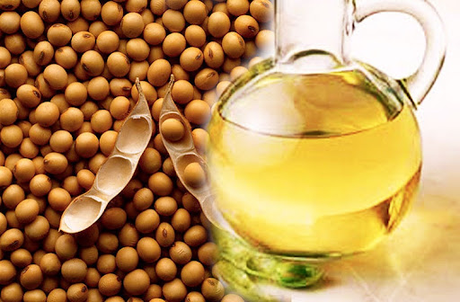 خرید عمده روغن سویا فله و گالن 20لیتری