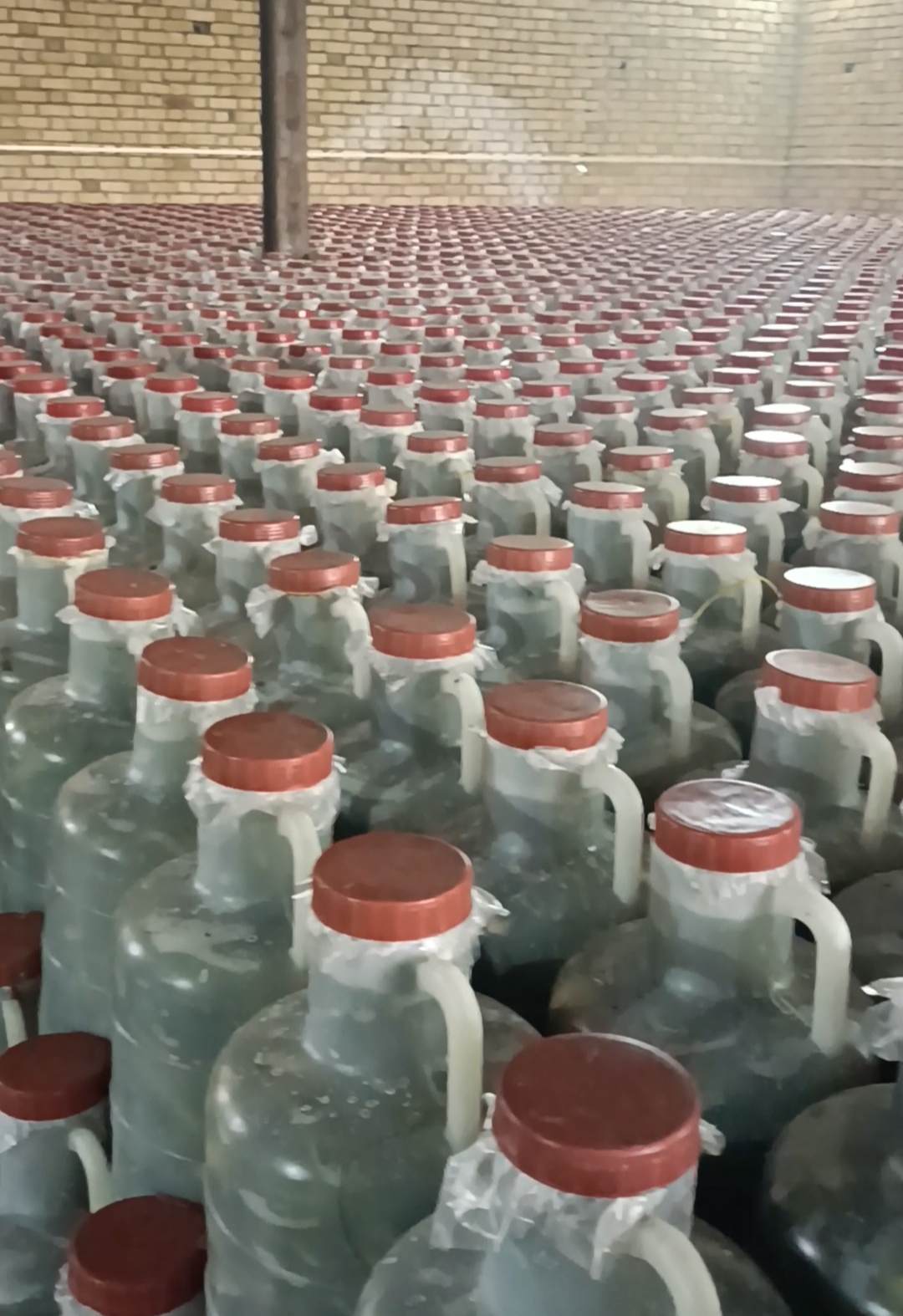 تصویر 2 از خیارشور سنتی ترد و خوشمزه برای صادرات + خرید مستقیم عمده