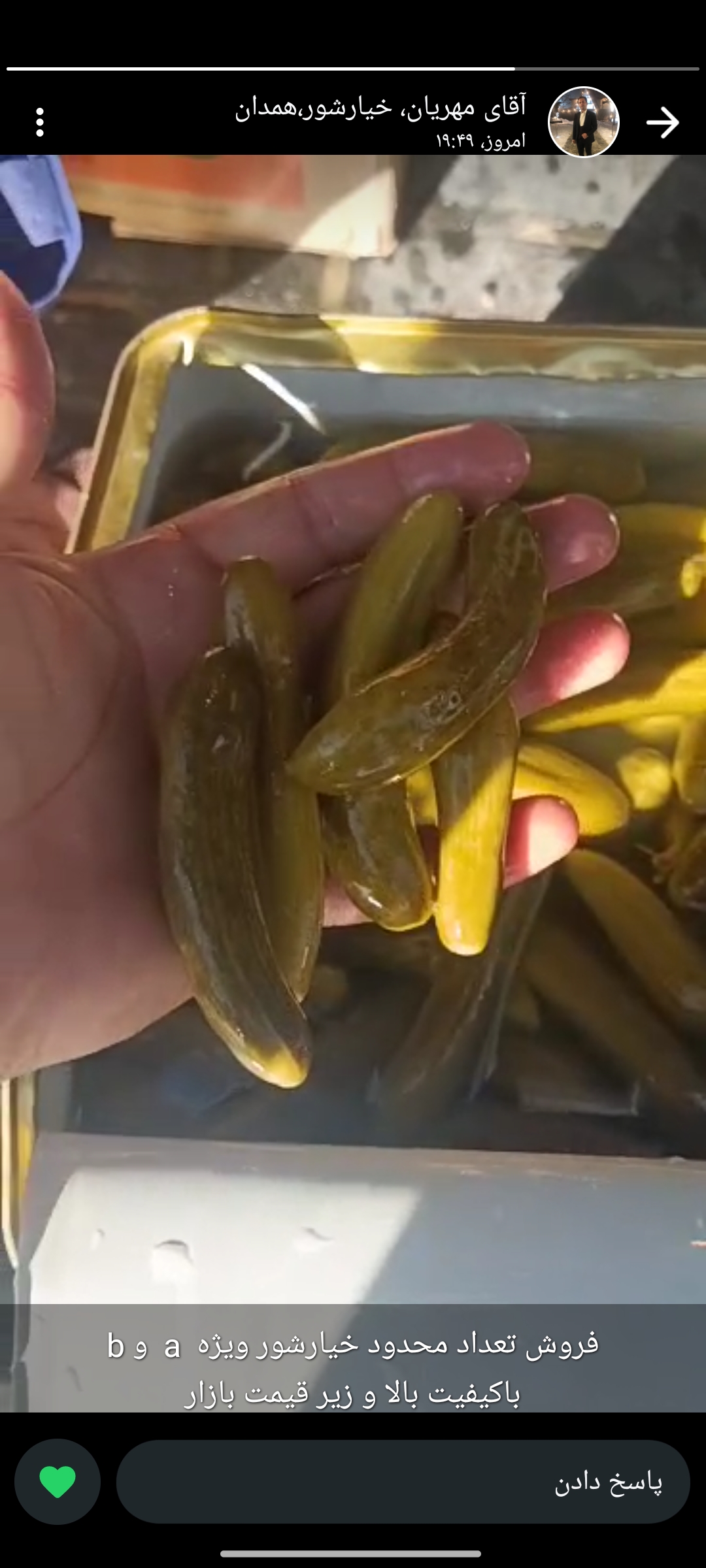 تصویر 1 از خیارشور سنتی ترد و خوشمزه برای صادرات + خرید مستقیم عمده