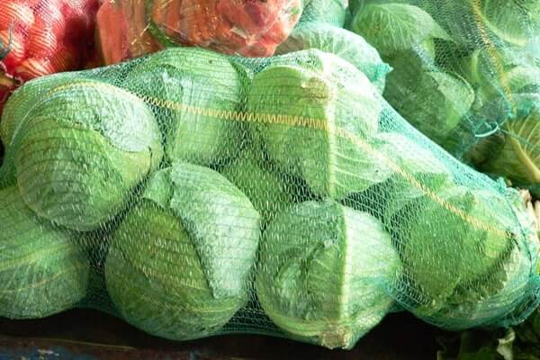 کیسه توری بسته بندی کلم
