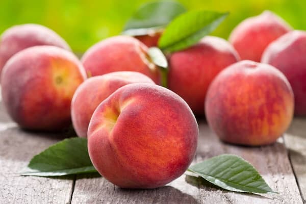 قیمت استثنایی کراش هلو و عالی برای مشتریان تاپ