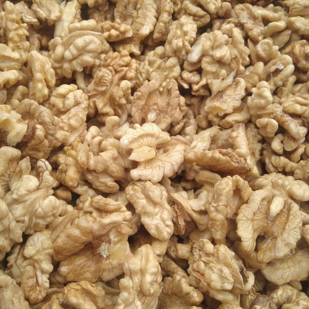 مغز گردوی سامان + خریده عمده