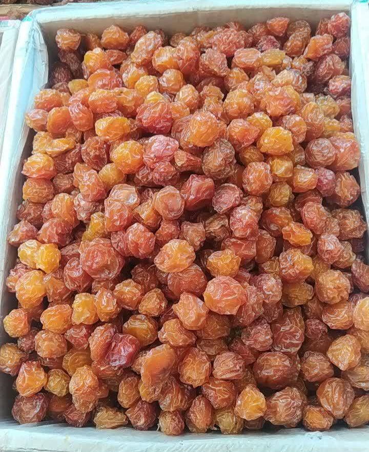فروش آلو طرقبه به صورت عمده