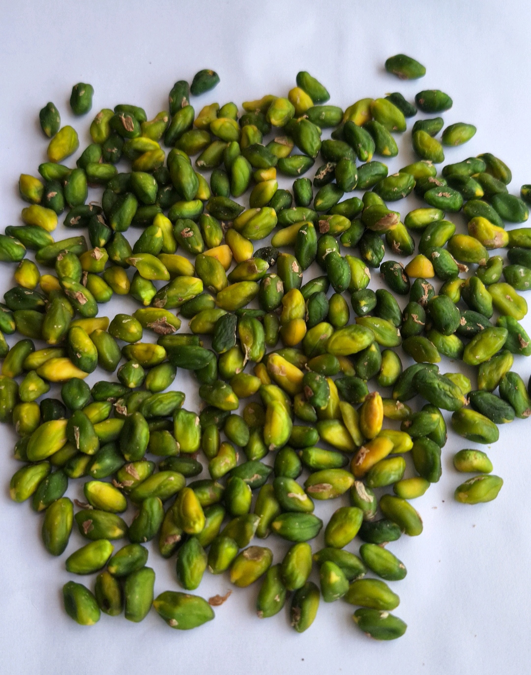 مغز کال صادراتی با آفلاتوکسین مورد تایید