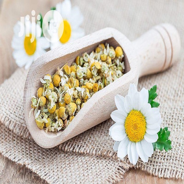 گل بابونه معرفی خواص درمانی و کاربردهای گیاه دارویی اصیل