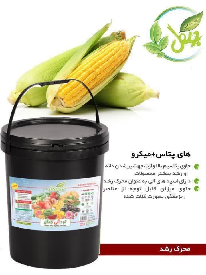خرید به صرفه کود مایع برای پر شدن دانه ذرت