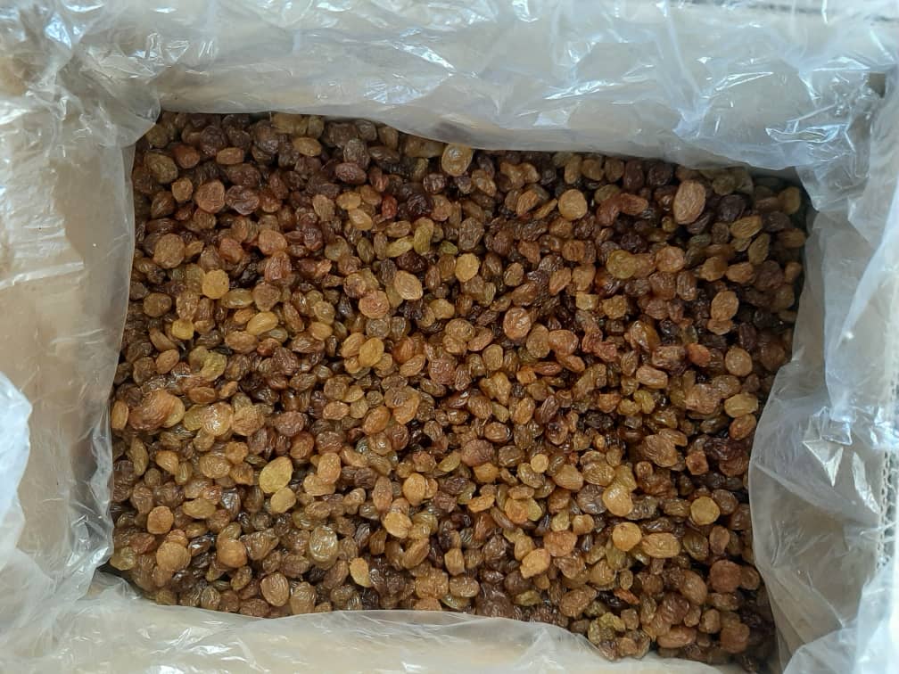 خرید + فروش عمده کشمش سلطانا بناب