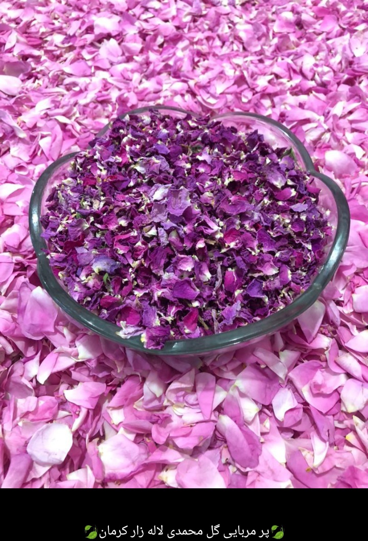 پر گل محمدی