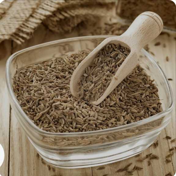 قیمت روز زیره سیاه اعلا فله‌ ای دانه درشت و تمیز