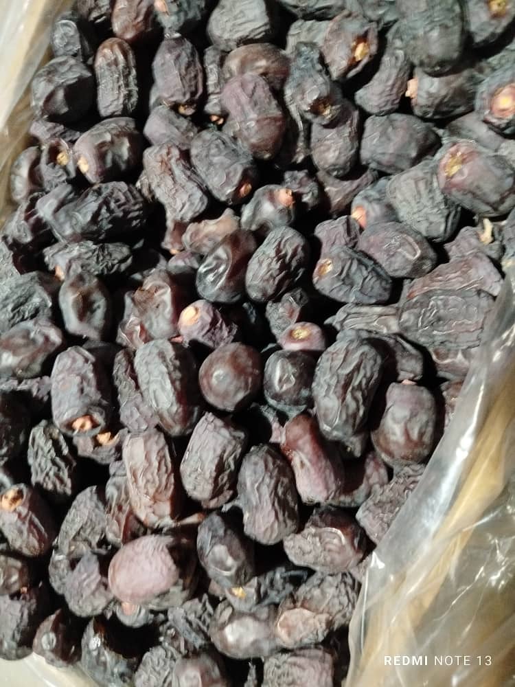 خرمای ربی سیستان و بلوچستان