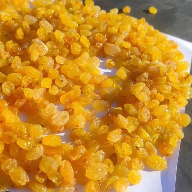 کشمش گلدن درجه 1