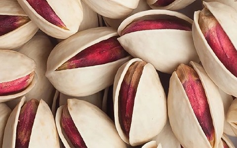 خرید و فروش پسته عمده رفسنجان با شرایط فوق العاده