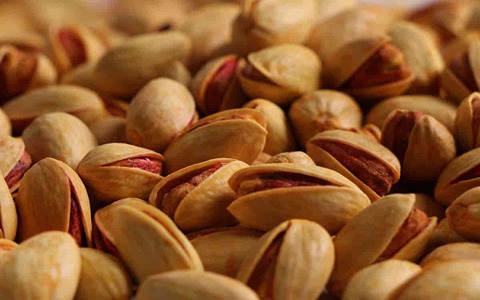 خرید و قیمت پسته ممتاز اکبری + فروش عمده