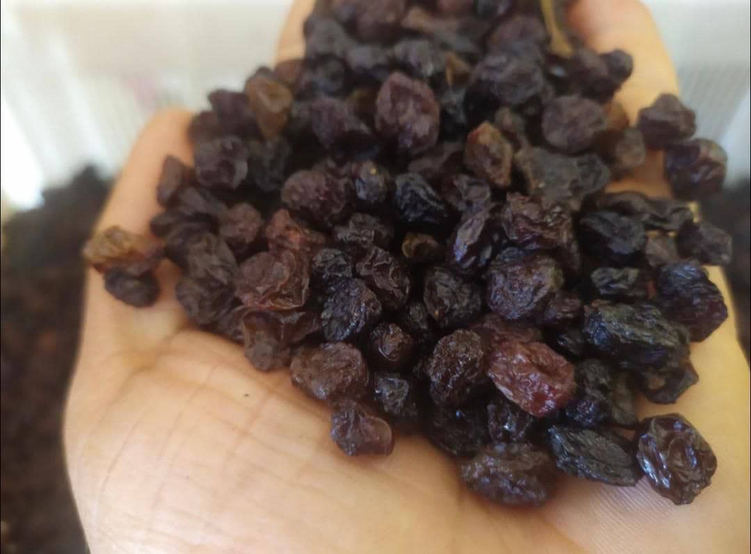 کشمش آفتابی بوانات