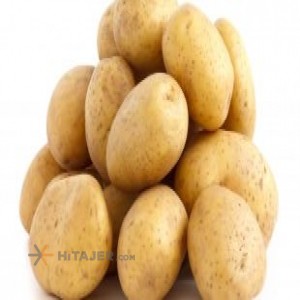 قیمت سیب زمینی همدان الفا