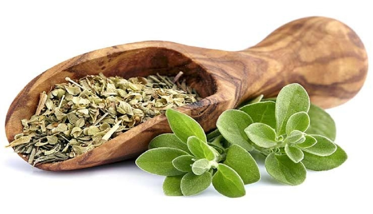 مرزنجوش ادویه خوش‌عطر و داروی طبیعی آرامش و هضم آسان