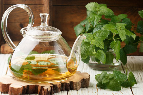 بادرنجبویه گیاه آرامش‌بخش طلایی با طعم لیمویی برای سلامت جسم و ذهن
