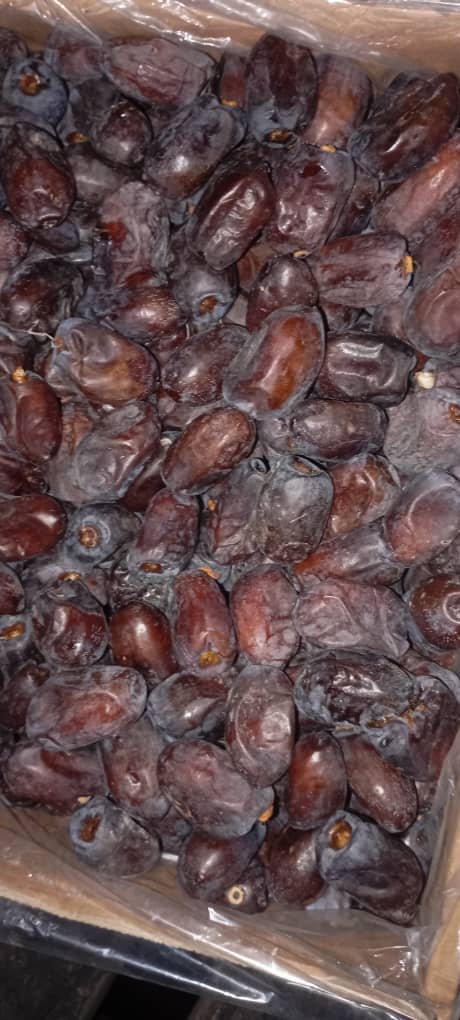 خرمای درجه یک با قیمت استثنایی کلوته
