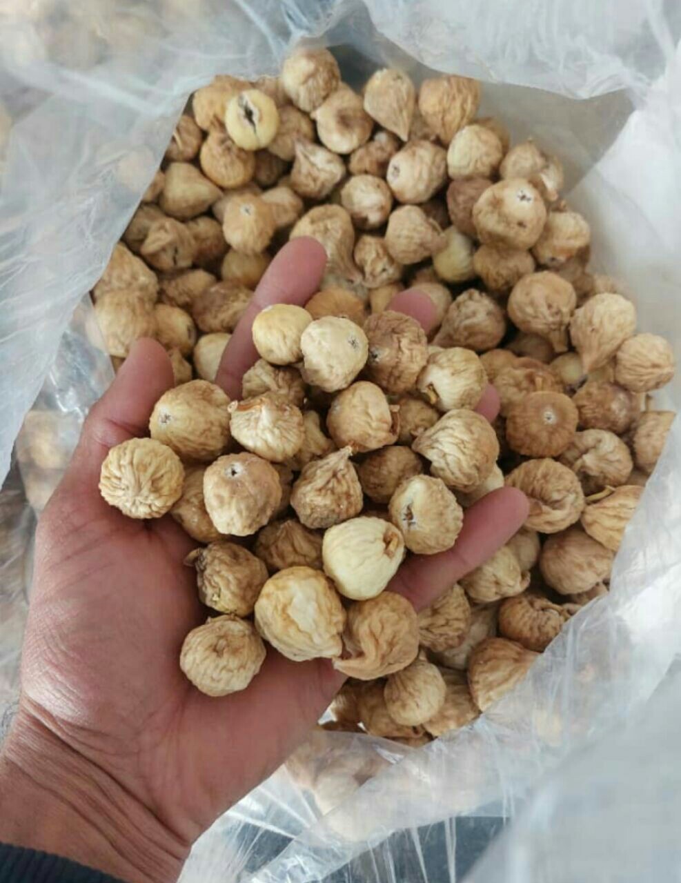 قیمت انجیر گلوگاه