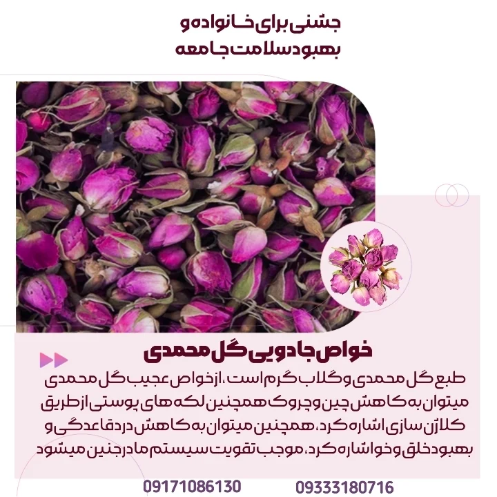 موارد مصرف غنچه گل محمدی