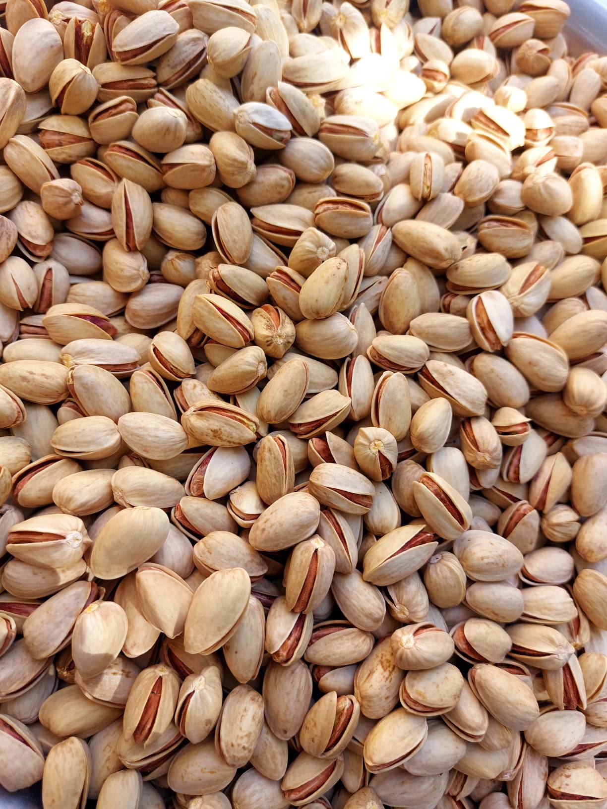 خرید پسته اکبری دست چین خام + قیمت فروش استثنایی