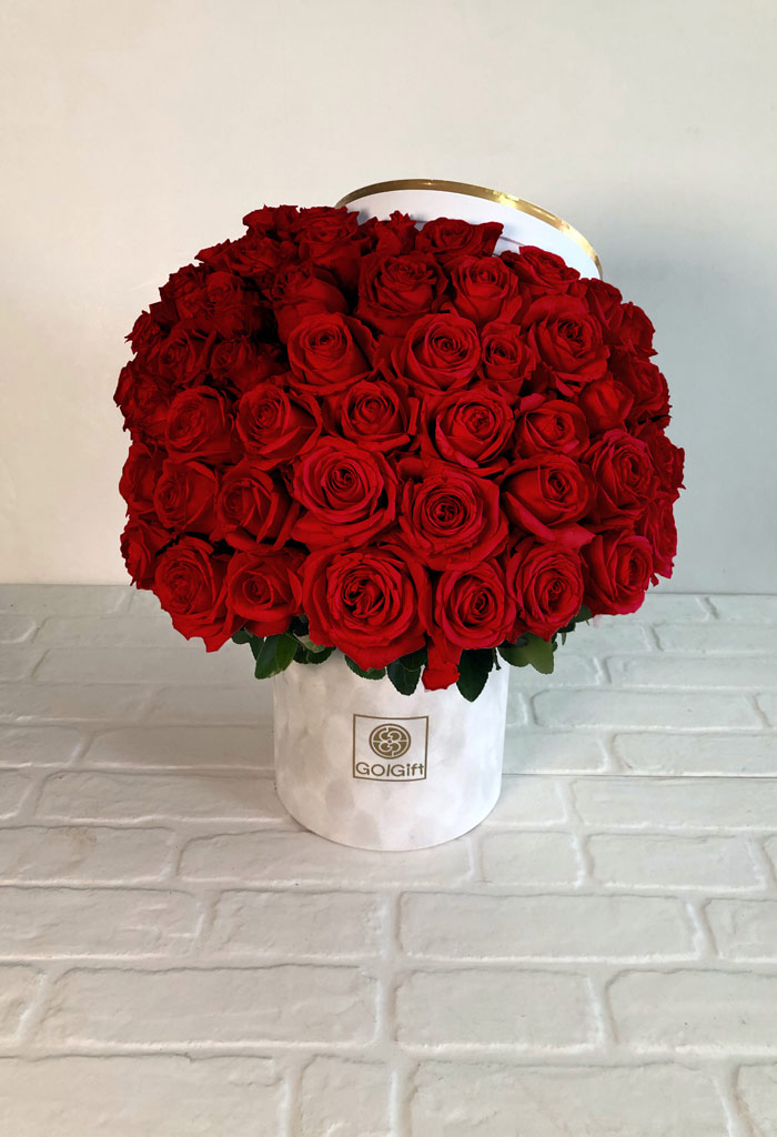 گل رز هلندی