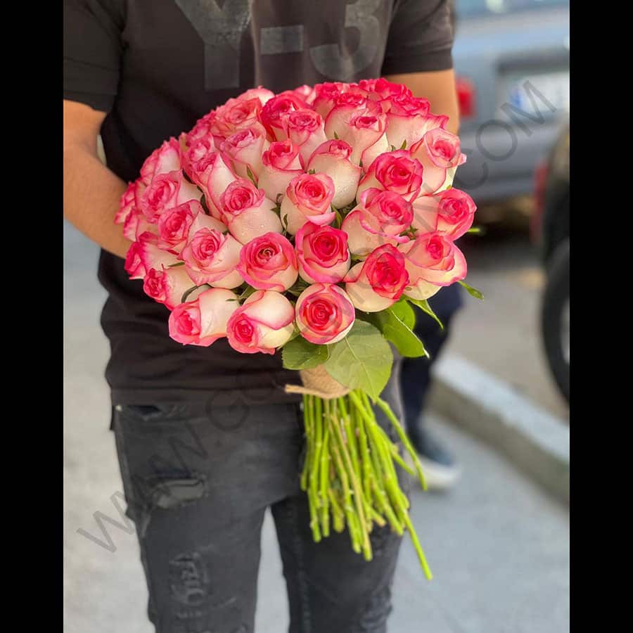 گل رز هلندی صورتی