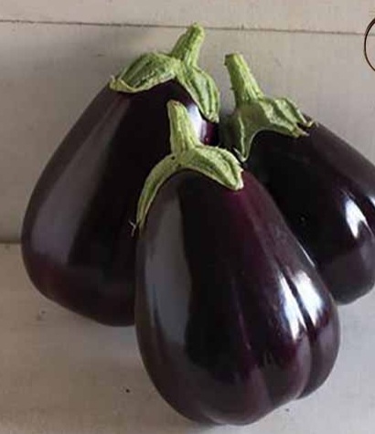 بادمجان دلمه ای سیاه