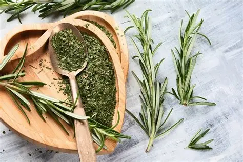 فروش عمده رزماری خشک با کیفیت ممتاز صادراتی