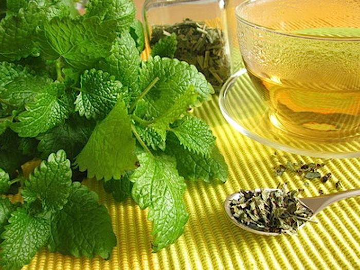 پونه کوهی دارویی با عطر ماندگار