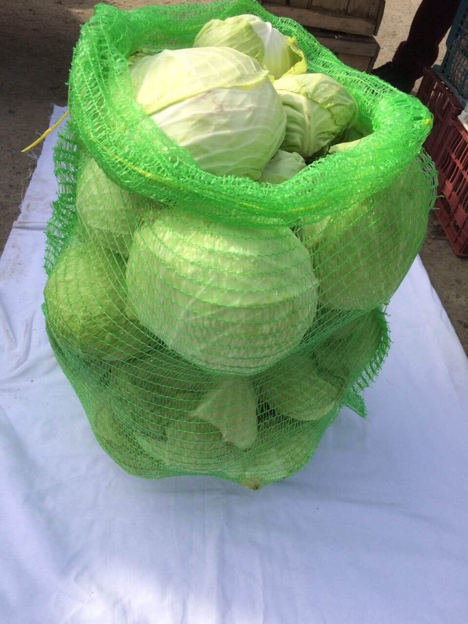 کیسه توری راشل