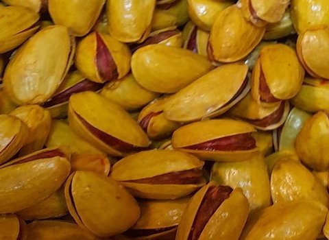 خرید و قیمت پسته اکبری شور + فروش عمده