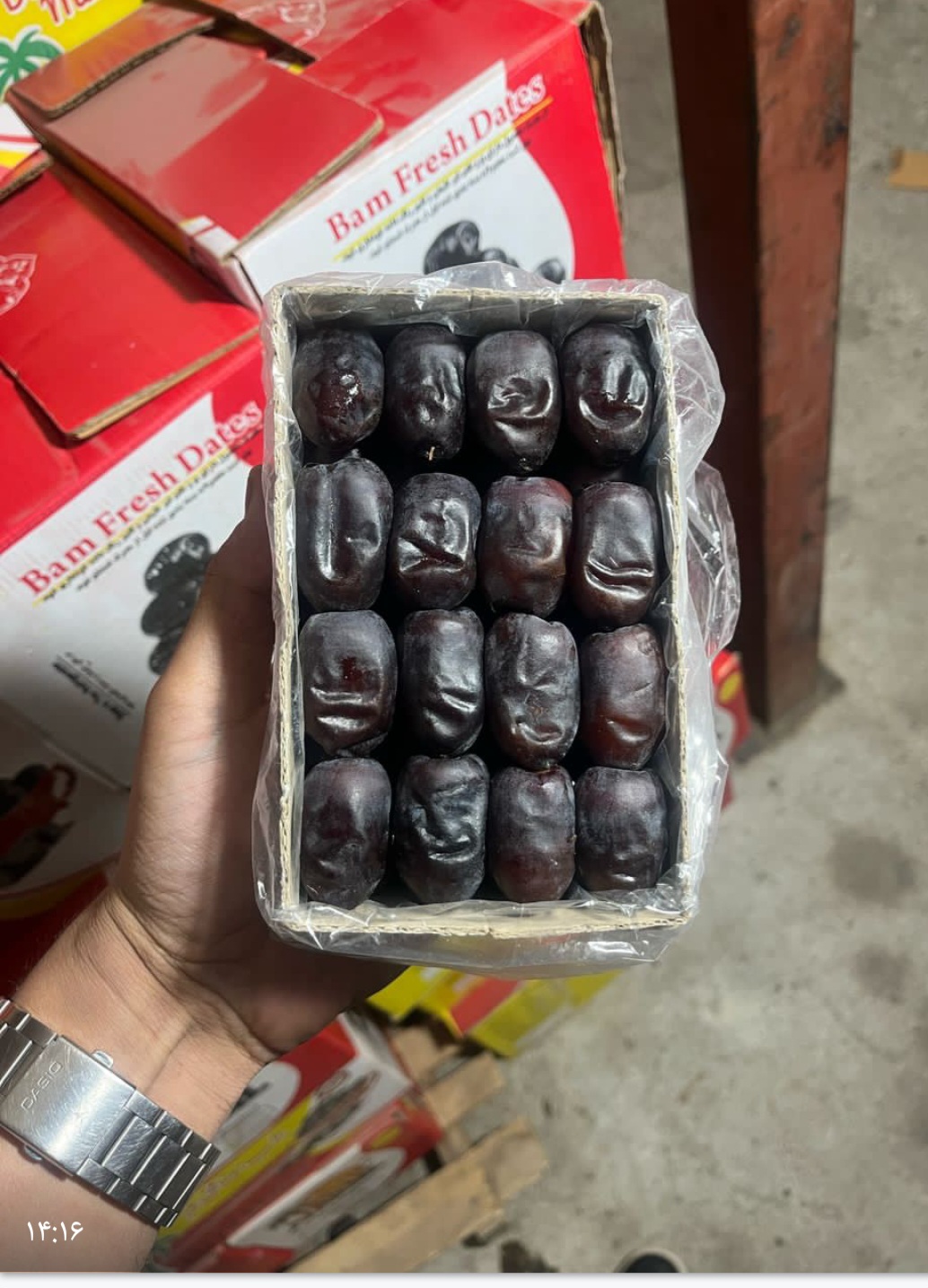 خرمای مضافتی قیمت