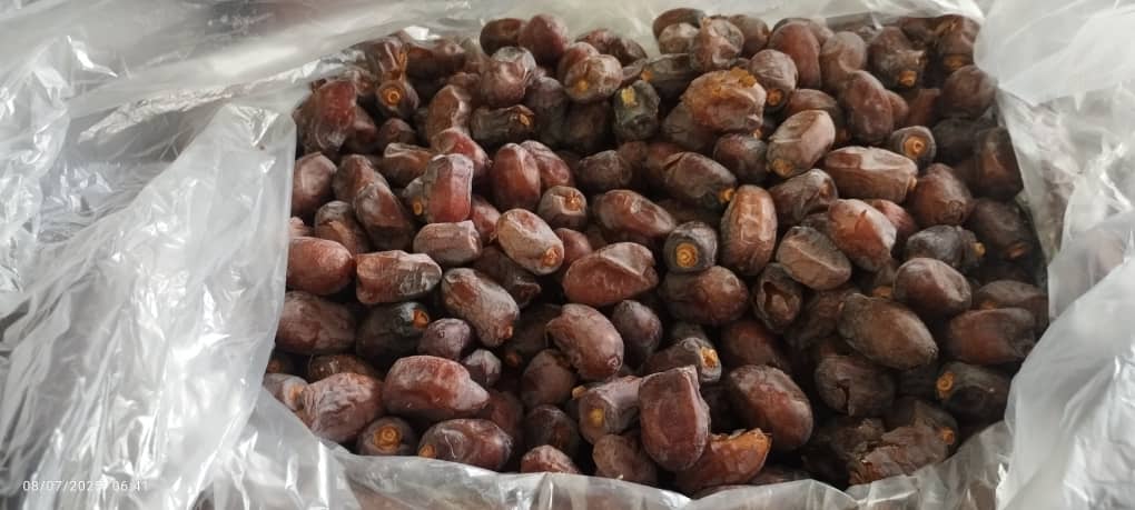 خرمای کلوته خرید