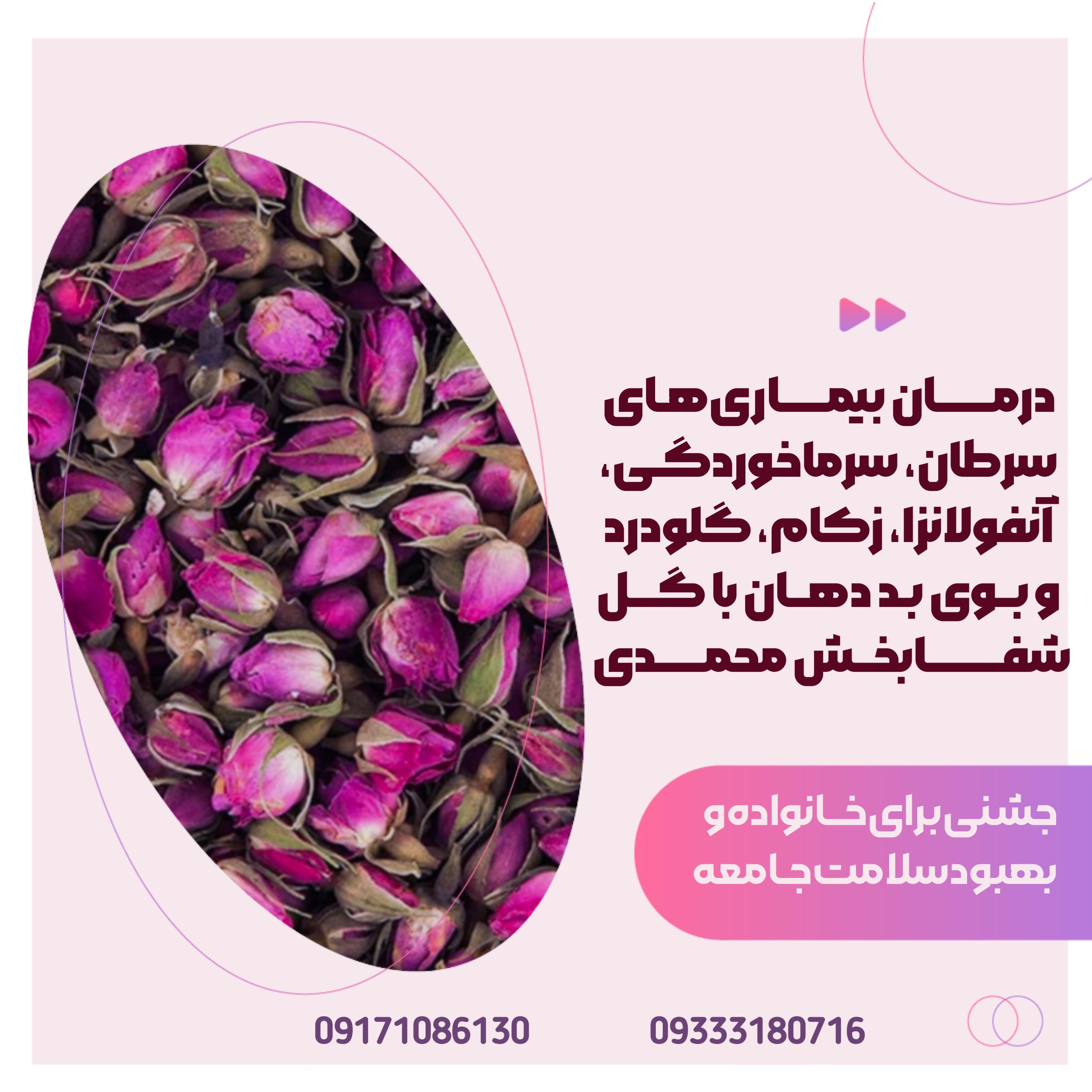 انواع غنچه گل محمدی